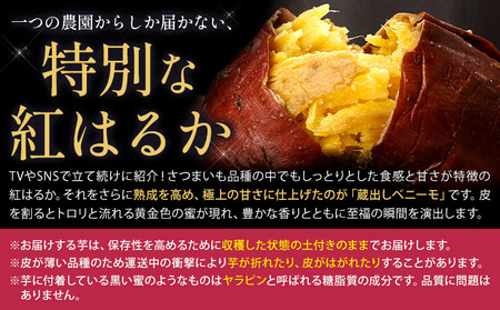 さつまいも 蔵出しベニーモ 約5kg さつまいも