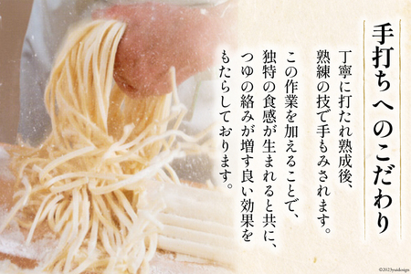 うどん 古式熟成 手打ち 生うどん 300g 8パック めんつゆ 500ml セット [ 武州めん 埼玉県 小川町 003]