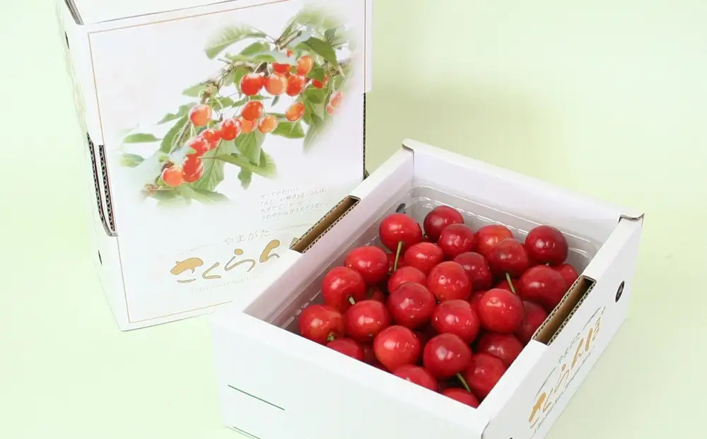 さくらんぼ（佐藤錦）５００ｇ　特秀品　0021-2601