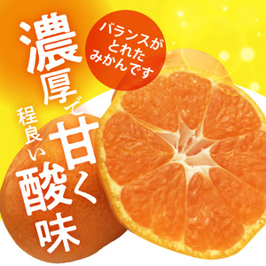 H6005_【2026年先行予約】天の恵み 温州みかん Mサイズ 特選 5kg【ミカン 蜜柑 柑橘 温州みかん 和歌山】