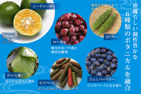 オキナワ ジン 700ml 2本 まさひろ酒造 クラフトジン 沖縄