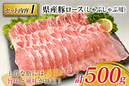 豚肉 3種 バラエティ セット 合計2kg 国産 宮崎県産 ポーク 豚ロース 切り落とし スライス おかず お弁当 おつまみ 食品 グルメ しゃぶしゃぶ とんかつ用 万能食材 焼肉 詰め合わせ 小分け 人気 おすすめ お取り寄せ おすそ分け 日南市 ミヤチク 送料無料_BB120-23