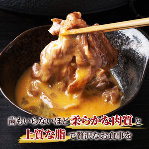 葉山牛 特上 赤身肉 すきやき 500g すき焼き 焼肉 冨士屋牛肉店 モモ カタ 赤身 バーベキュー 箱入り 贈答用 お中元 ギフト 黒毛和牛 神奈川県 【 逗子市 】