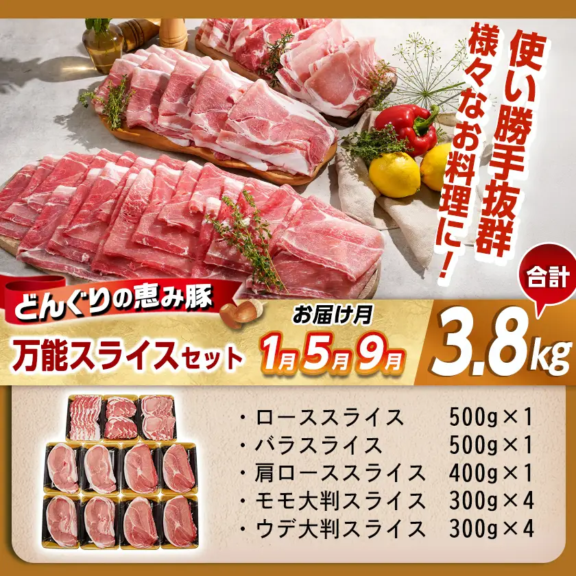 「どんぐりの恵み豚」エンジョイ定期便(5ヶ月)〔T40(5)-1102〕_(都城市) 万能スライスセット キャンプ飯セット こま切れセット しゃぶしゃぶセットなど 毎月お届け 小分け 豚肉セット 冷凍 都城市 豚肉 ロース バラ モモ ウデ スライス スペアリブ 切り落とし ステーキ しゃぶしゃぶ