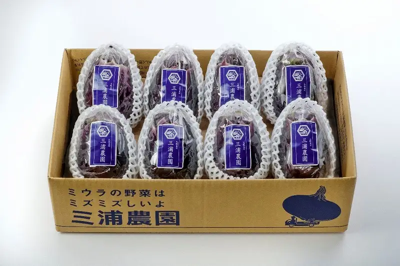 Premium水なすセット