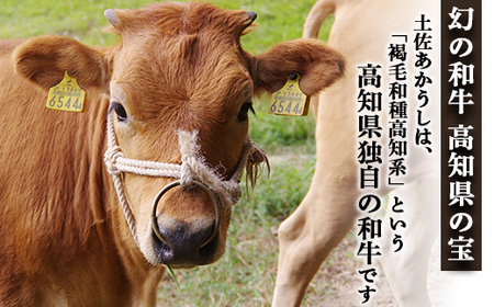 土佐あかうし 和牛ブリスケ／しゃぶしゃぶ用 500g | あか牛 赤身 旨味 希少 幻 贈り物 ギフト 高知県 南国市