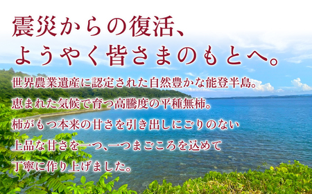完熟和スイーツ 「能登あんぽ柿」にごりのない甘味が絶品！ |  柿  干し柿 ドライフルーツ