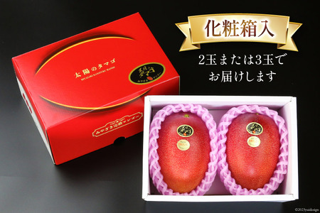 マンゴー 太陽のタマゴ 秀品 900g以上 [452060664] マンゴー