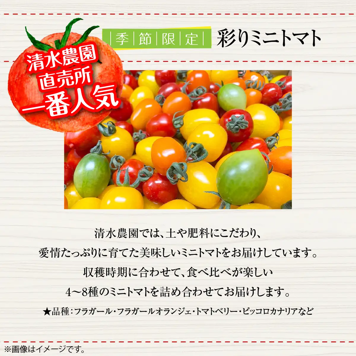 ＜2026年7月上旬よりお届け＞【農園直送】北海道壮瞥産　彩りミニトマト約2.7kg SBTO004