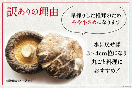 訳あり しいたけ 宮崎県産 乾燥 芽どんこ 120g 3p 計 360g [岡田商店 宮崎県 美郷町 31ac0064] 