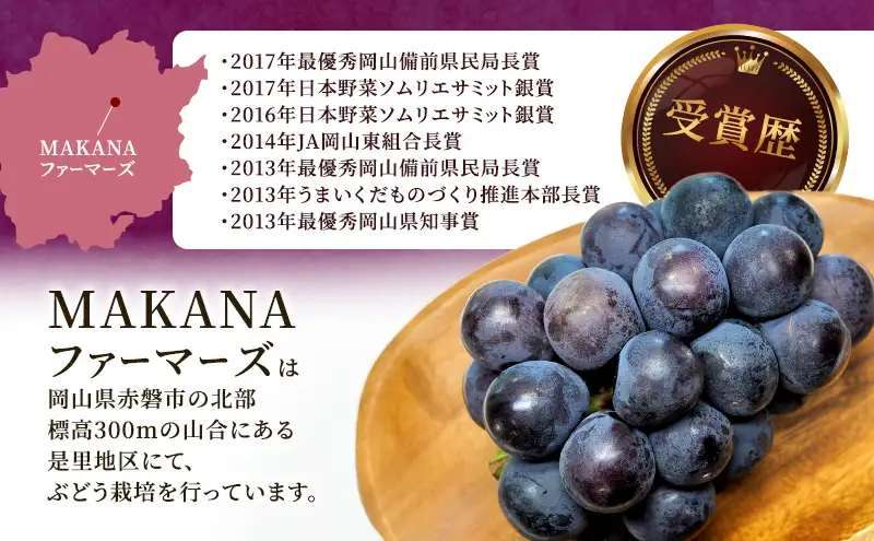 ぶどう 2026年 先行予約 オーロラ ブラック 2房（1房600g～700g） 大粒 種無し ブドウ 葡萄 岡山県 赤磐市産 国産 フルーツ 果物 ギフト MAKANAファーマーズ 果物類 オーロラブラック 