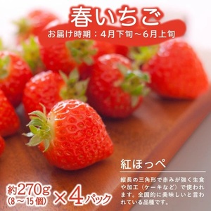 SE0464　【3回定期便】農家直送 旬のフルーツ定期便2026 (いちご、庄内メロン、いちじく)