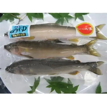 【CAS冷凍】スイカの香りと美味しさを閉じ込めた清流・高津川の天然鮎3尾/袋×3(約450g)【配送不可地域：離島】【1209578】