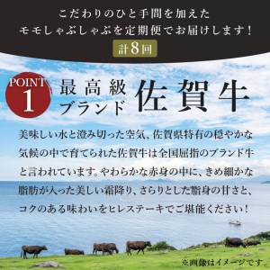 【全8回定期便】佐賀牛モモしゃぶしゃぶ　総計8kg 999-J411