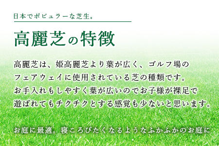 ＜高麗芝 2平方メートル＞2か月以内に順次出荷【c736_hg_x2】