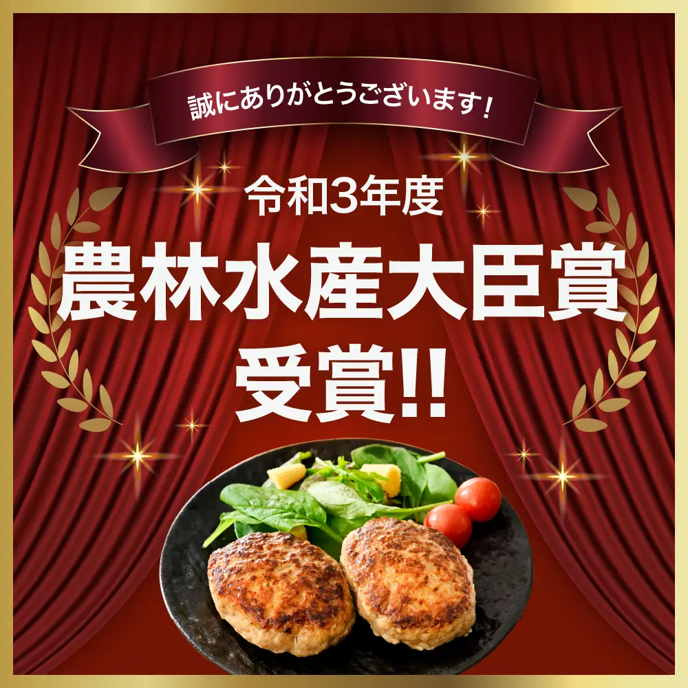 赤村 養生館 豚肉で作った特製 手ごねハンバーグ 20個 (110g～120g × 20個) ふるさと納税 ハンバーグ 手ごね ふるさと ランキング 人気 おすすめ B9
