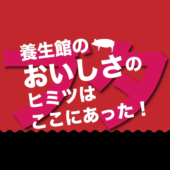 赤村養生館 豚スペアリブ 1kg B16