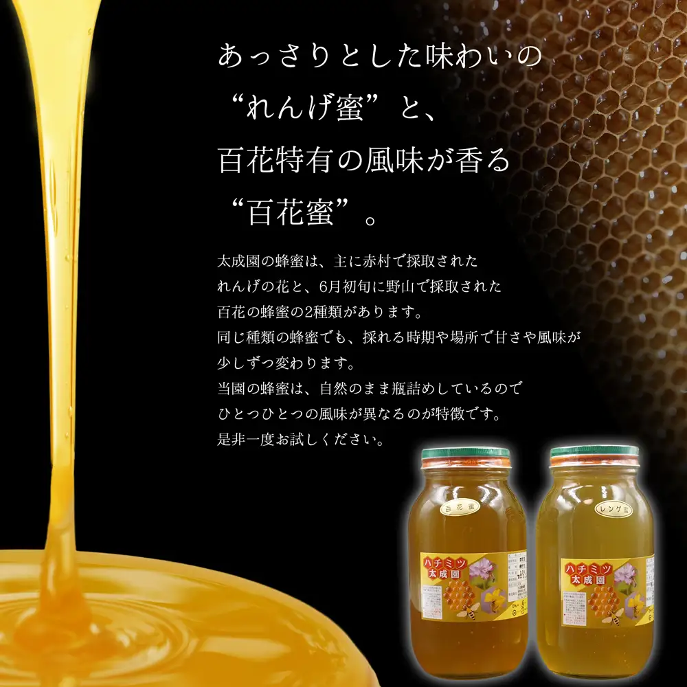 蜂蜜（レンゲ蜜１.２ｋｇ、百花蜜１.２ｋｇ）セット K2