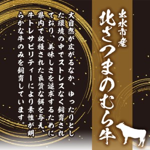 i317 ≪鹿児島県産黒毛和牛≫出水市産北さつまのむら牛 黒毛和牛＜計1kg＞サーロインステーキ(200g×2枚)、リブロース(300g×2パック)のセット！肉質のきめが細かく旨味の凝縮された牛肉をすき焼き・ステーキで！  牛肉 肉 黒毛和牛 国産 サーロイン ステーキ リブロース 詰め合わせ セット すき焼き 旨み 絶品 冷凍【吉澤商店】