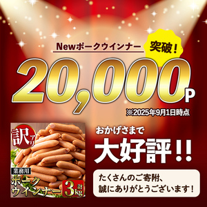 Newポーク ウインナー (業務用) 1kg×3P ＋ あらびきウインナー 120g×1P 【ナンチク】 i326-2602om