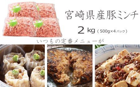 便利なチャック付きパック入り！宮崎産豚ミンチ 2kg【B459-60】