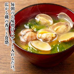 あおさ 15g 20袋 セット 南伊勢 あおさ