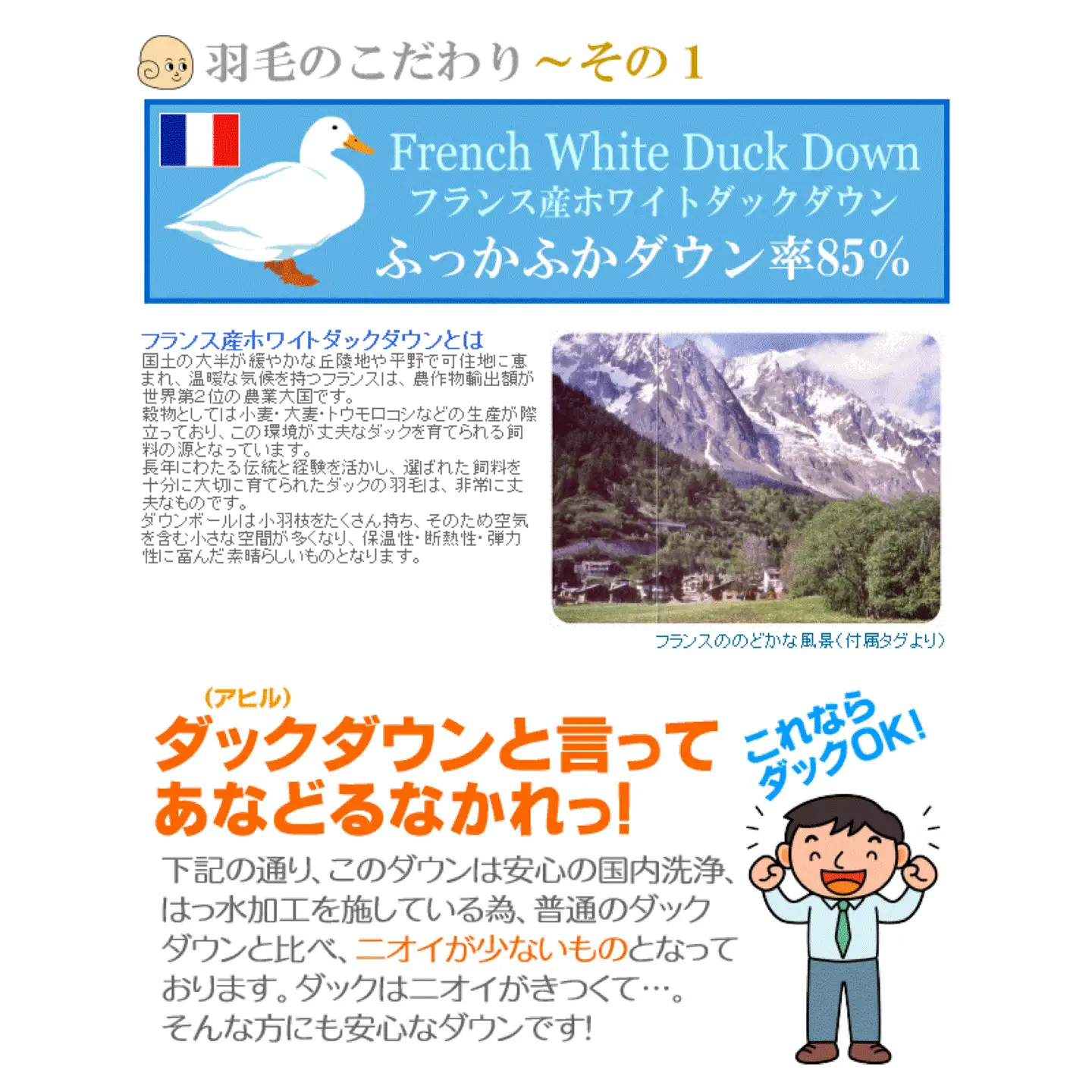 【ダブル】洗濯機で洗える2枚合わせ羽毛ふとん【新津】｜ 合い掛け 肌掛け オールシーズン
