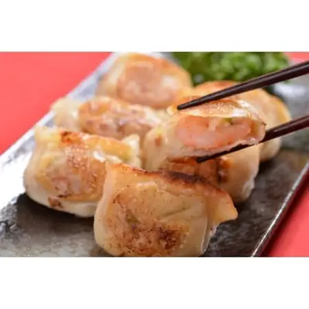 北の匠　手作り餃子4種【計75個】_惣菜・加工品 餃子  ぎょうざ ギョウザ_【配送不可地域：離島】【1210107】