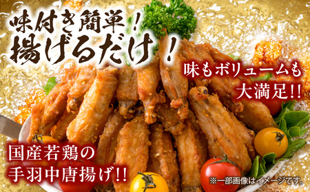 若鶏 チキンバー チキンスター 計2.5kg 100本前後 鶏肉 食品 加工品 小分け 塩味 味付き 国産 手羽中 唐揚げ 炭火焼き 簡単調理 冷凍 おすすめ 惣菜 おかず おつまみ お弁当 晩ご飯 骨付き お土産 戸村本店 ギフト 贈り物 個包装 宮崎県 日南市 送料無料_CD69-25
