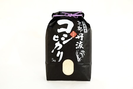 【3回定期便】 京丹波こしひかり 5kg×3 合計15kg 令和7年産[030MB001R]