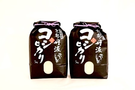 【3回定期便】 京丹波こしひかり 10kg×3 合計30kg 令和7年産  [045MB001R]
