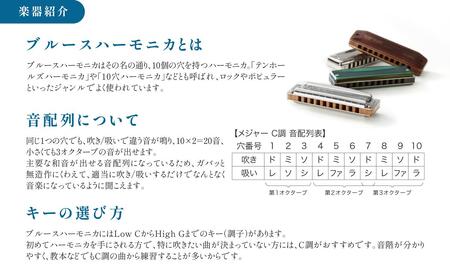 こだわりのメイドイン浜松　スズキ　ハーモニカセット 雑貨 日用品 楽器 