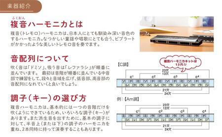 ハーモニカを組み立てて、演奏まで楽しもうセット 雑貨 日用品 組み立てキット 