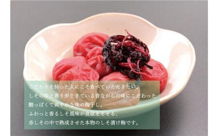【ご家庭用】最高級紀州南高梅・大粒 食べ比べセット 1.4kg(700g×2種)　（しそ風味・こんぶ風味） 梅干し【inm800-5C】