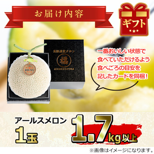 高級 アールスメロン 大玉 1玉 (1.7kg以上) フルーツ 果物 果実 数量限定 期間限定 贈答 贈り物 【マル福園芸組合】【0151110a】