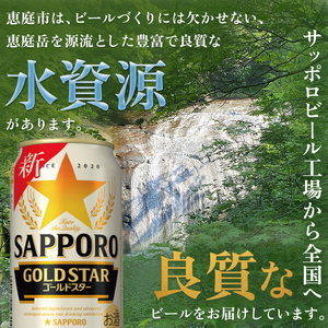 『定期便：全6回』 GOLDSTAR350ml×24本 ゴールドスター【300100251906】