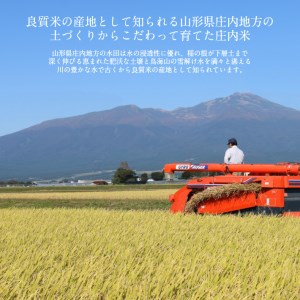 SD0262　令和7年産【精米】つや姫、雪若丸　計10kg(5kg×2袋) 《農産物検査員おすすめの庄内米》 SY