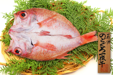 特大干物！のどぐろ一夜干し 1枚【のどぐろ 特大 一夜干し 200g のどぐろ干物 無添加 天日塩 魚介類 魚 高級魚 ノドグロ アカムツ あかむつ 干物 新鮮 冷凍 真空パック 父の日 母の日】
