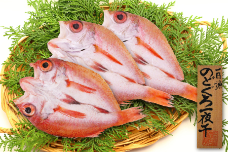 のどぐろ一夜干し（干物）3枚 旬獲れ【のどぐろ 干物 合計285g のどぐろ干物 無添加 天日塩 低塩熟成 低塩 ノドグロ アカムツ あかむつ 干物 一夜干し 新鮮 冷凍 真空パック 贈答 父の日 母の日】