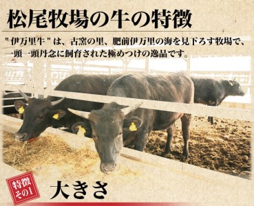 伊万里牛 ぎゅ～と 定期便 スペシャル 3回便 すき焼き ステーキ 焼肉 999-J319
