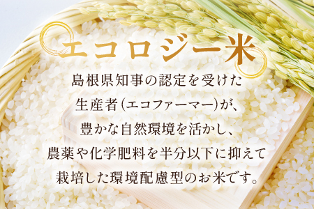石見銀山天領米（氷感熟成エコロジー米こしひかり）5kg【コシヒカリ 5kg 島根県産 大田市産 米 エコロジー米 氷感熟成 減農薬 減化学肥料】