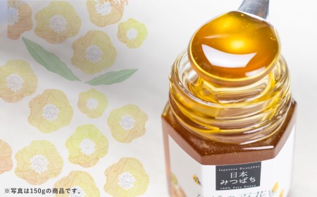 飛騨日本みつばちの会 ひだの百花蜜 600g 1本 はちみつ 蜂蜜 ハチミツ[Q414]