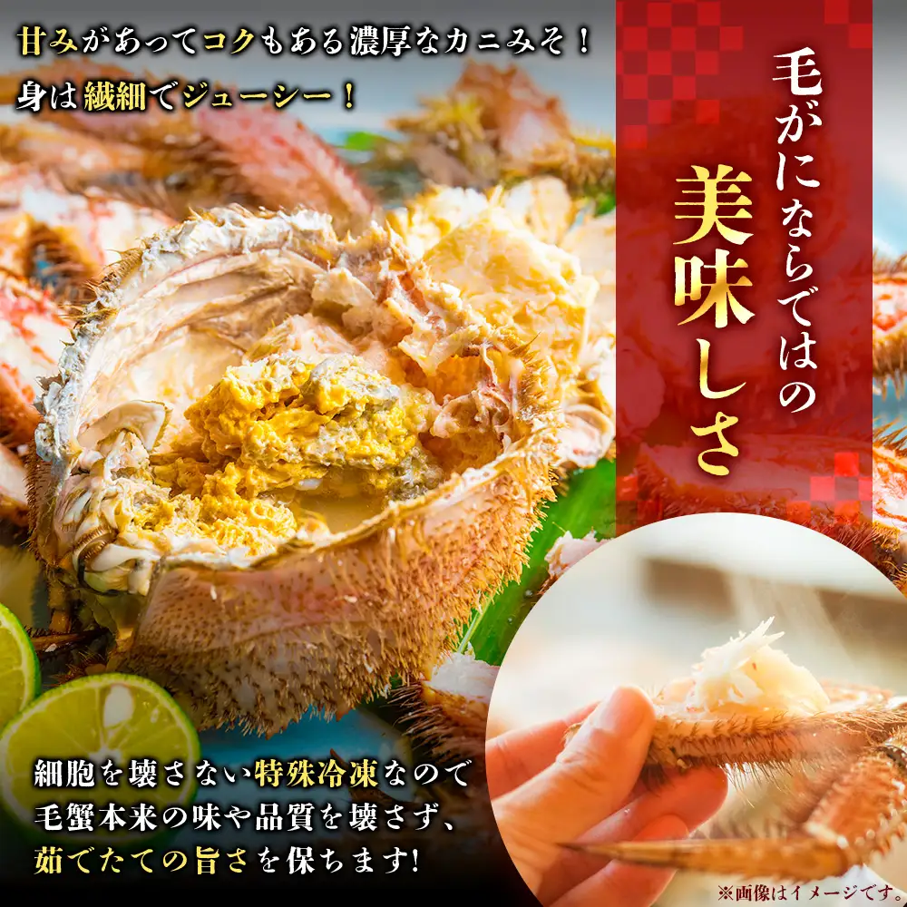 北海道産ボイル毛がに 2尾 1.0kg ふるさと納税 蟹