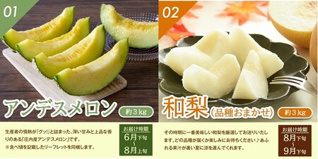 SF0319　【4回定期便】とれたて！フルーツ頒布会2026 (アンデスメロン、和梨、庄内柿、ラ・フランス)