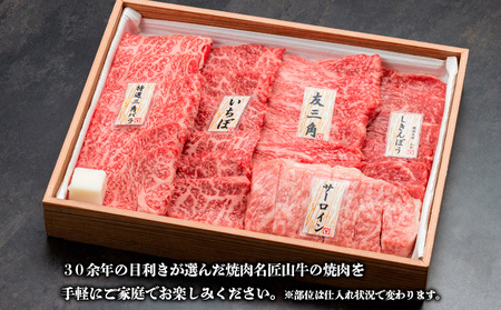焼肉名匠山牛特選焼肉 480g FY23-127