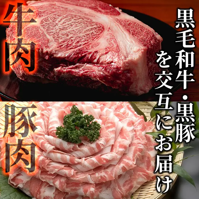 【定期便全6回】黒毛和牛・黒豚を交互にお届け！＜志布志牛・豚 満足定期コース＞計6.3kg超！定期便 牛肉 豚肉 サーロイン スライス 切り落とし 黒豚 ロース 豚ロース 豚バラ しゃぶしゃぶ すき焼き 焼肉 国産 t0100-031
