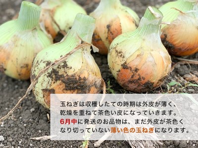 兵庫県認証食品★特別栽培★淡路島たまねぎ【５kg】