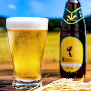 ホワイトビール「TAKAMOTO」 お酒 地ビール 