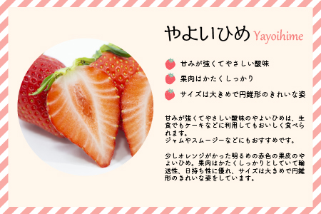 【今が旬！】北海道浦河産いちご「やよいひめ」230g×3P[13-883]