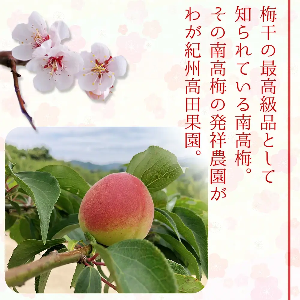 有機JAS認証　高田の梅「昔ながらのしそ梅干」塩分約18％（400ｇ）　tkdkaen001A【tkdkaen001A】